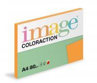 Coloraction A4/100ks  80g oranov syt